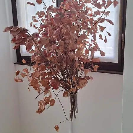 Apartmán Trieste Guest House