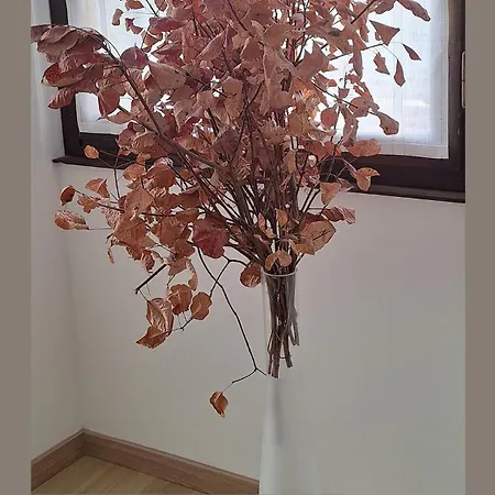 Trieste Guest House Διαμέρισμα *