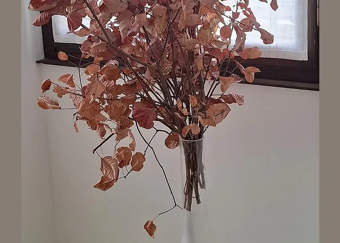 Trieste Guest House Apartment *